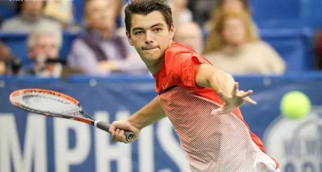 索引擎收录 索引擎收录