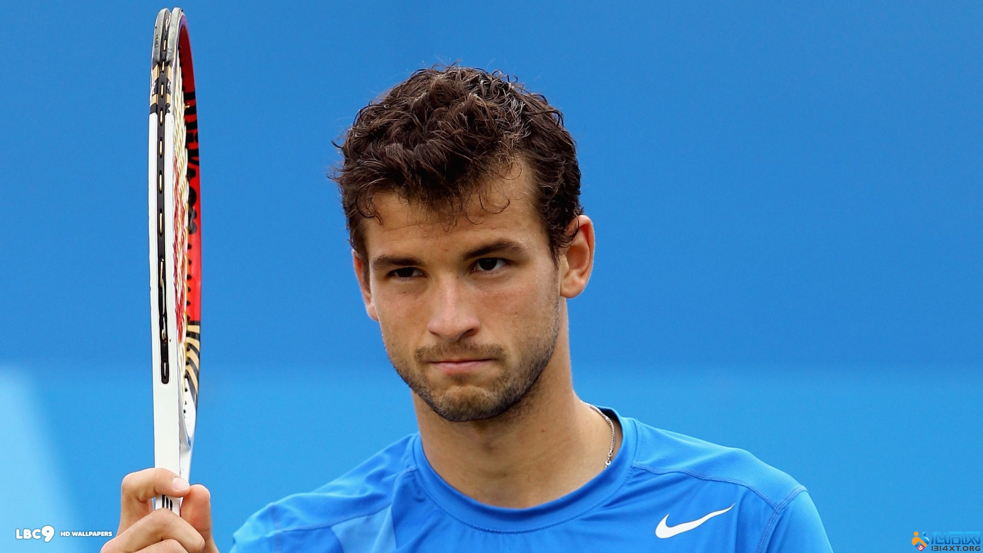 他对球队表 他对球队表