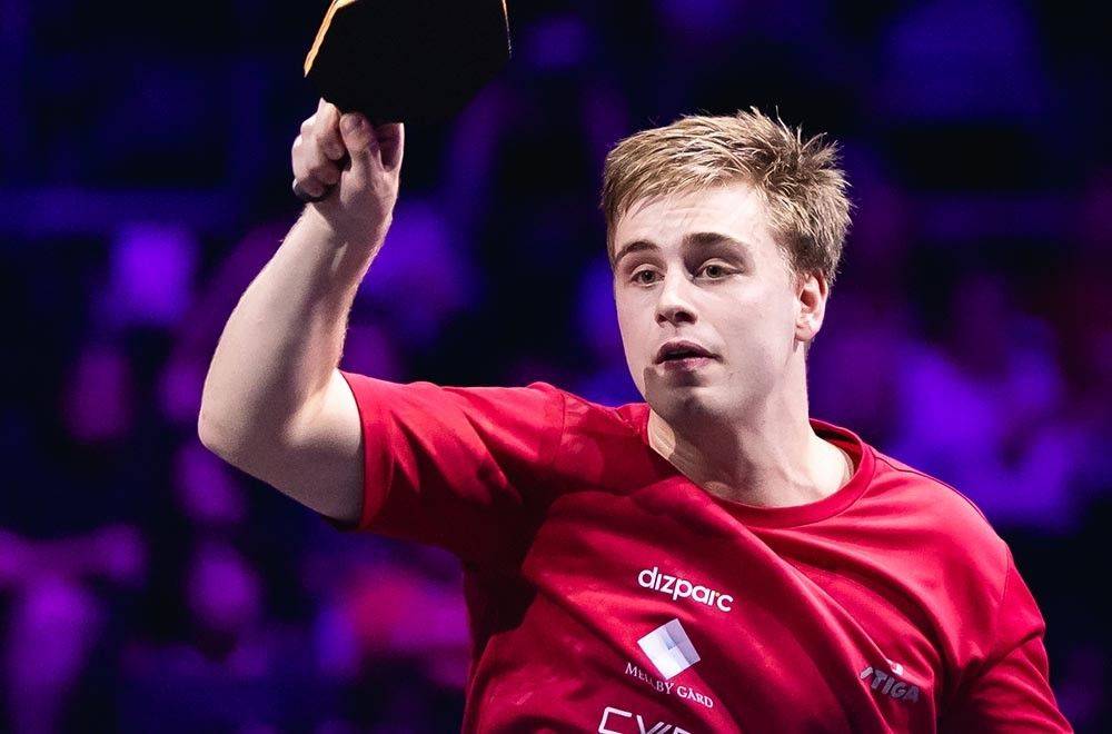 业化的再分 业化的再分